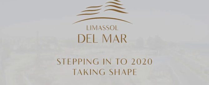 stepping-into-2020-taking-shape-a-full-timelapse-lepos-estates