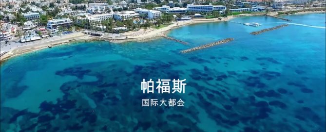 vikla-villas-chinese